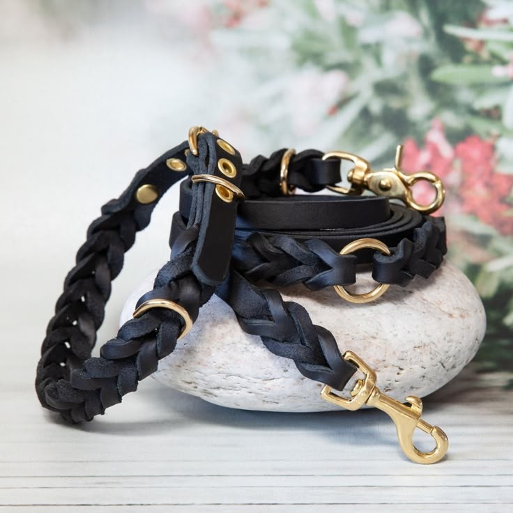 Braided Leash (illustrative image)